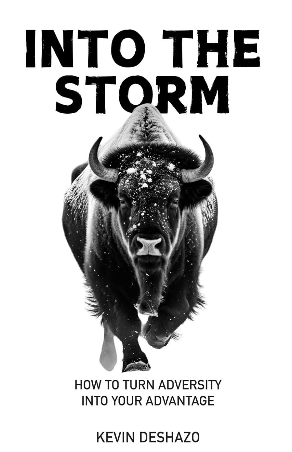 into_the_storm