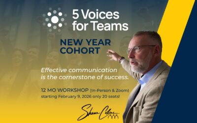 5 Voices for Teams: New Year Cohort