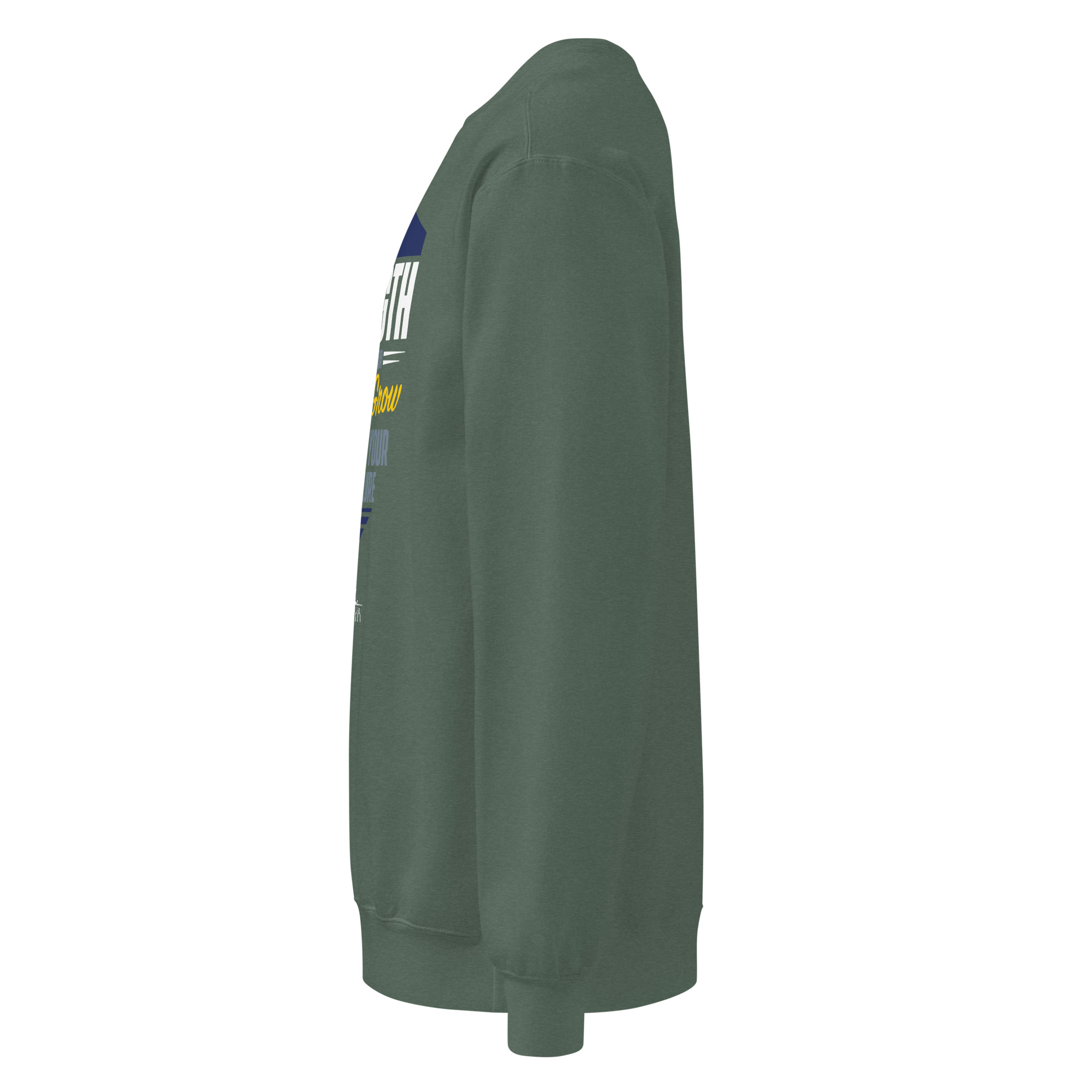 Shawn Collins DESIRE TO GROW Unisex Garment-dyed Sweatshirt - Image 28