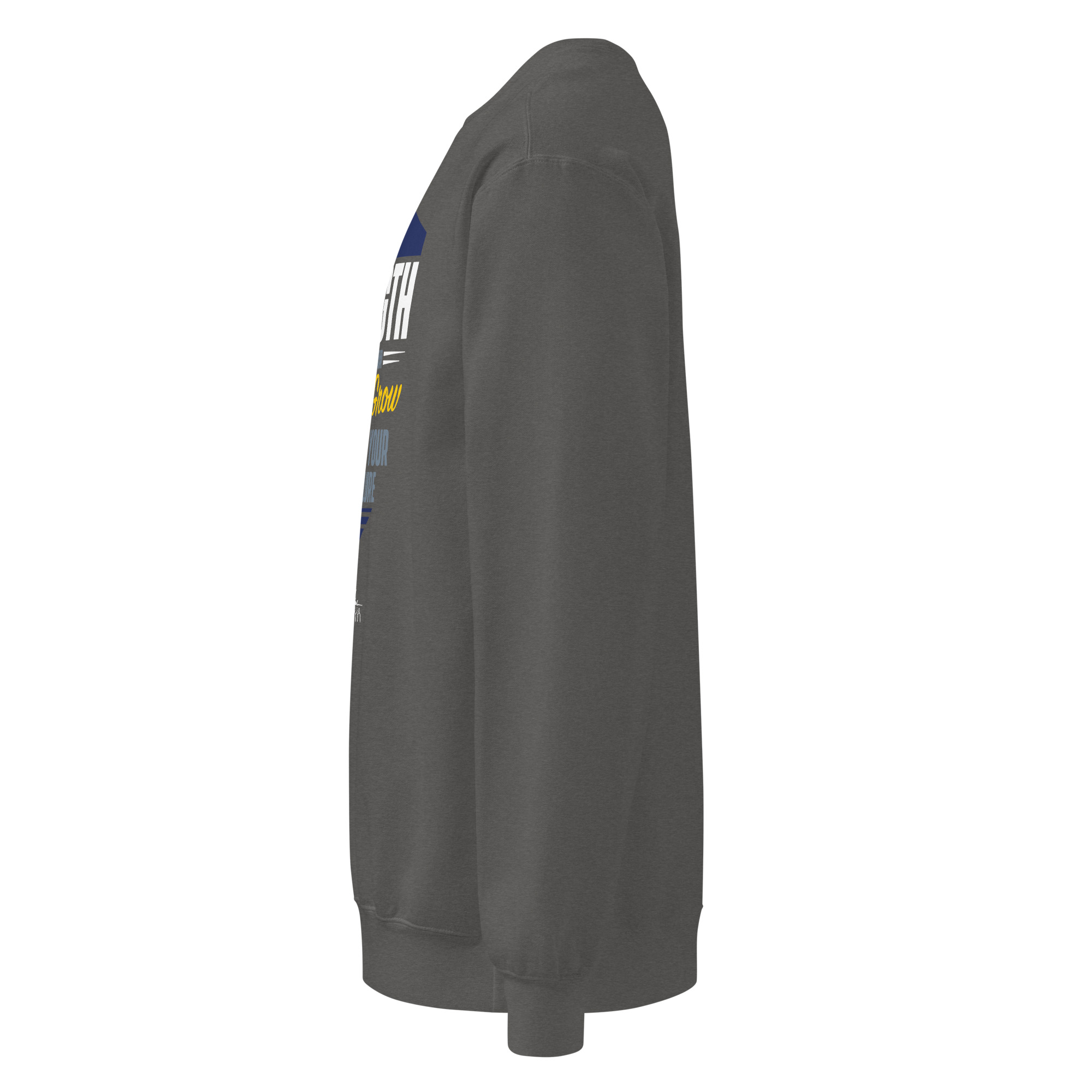 Shawn Collins DESIRE TO GROW Unisex Garment-dyed Sweatshirt - Image 26